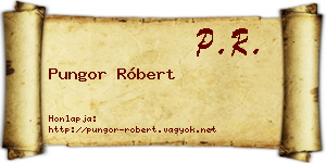 Pungor Róbert névjegykártya